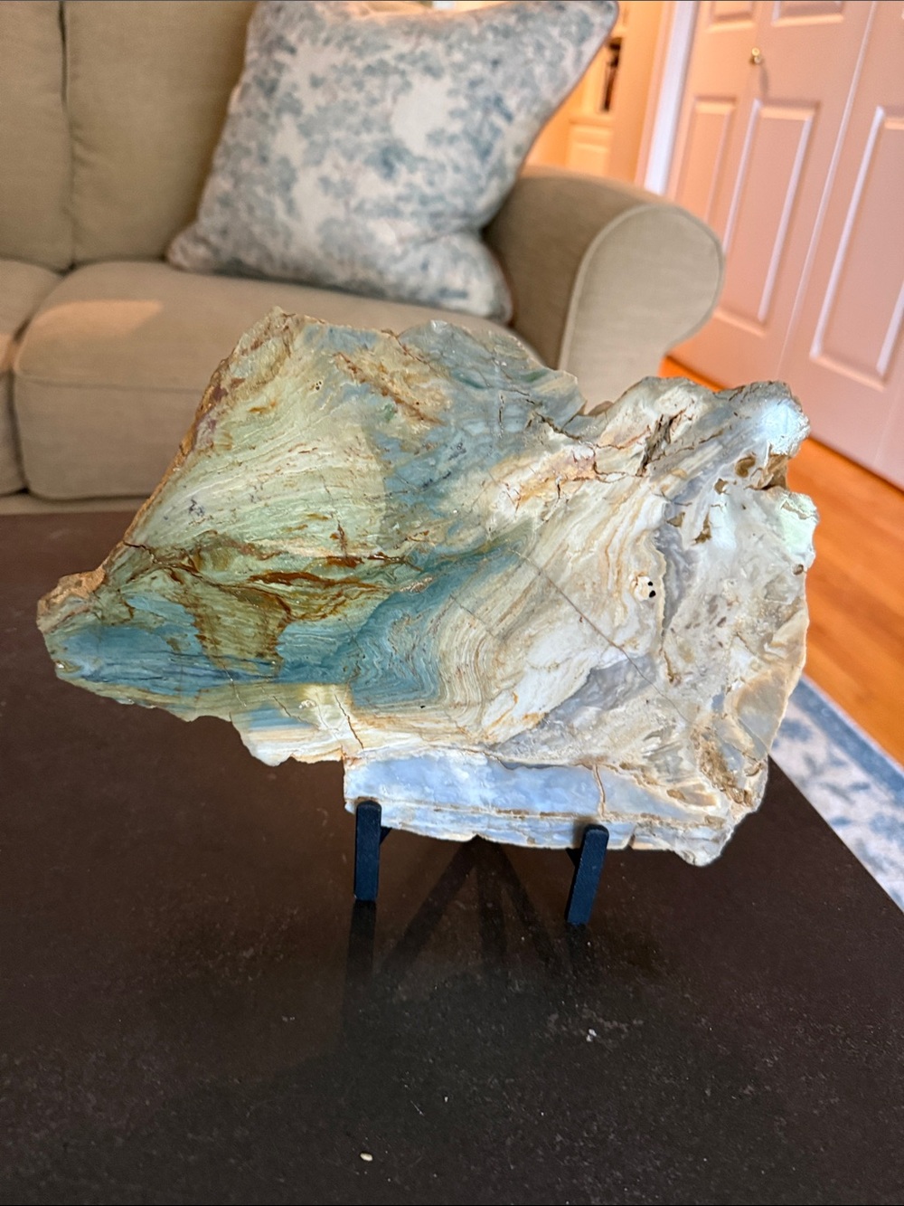 Gary Green Jasper Slab /Larsonite/ Polished Oregon Bog Wood Specimen